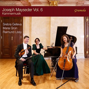 Mayseder Chamber Music V6