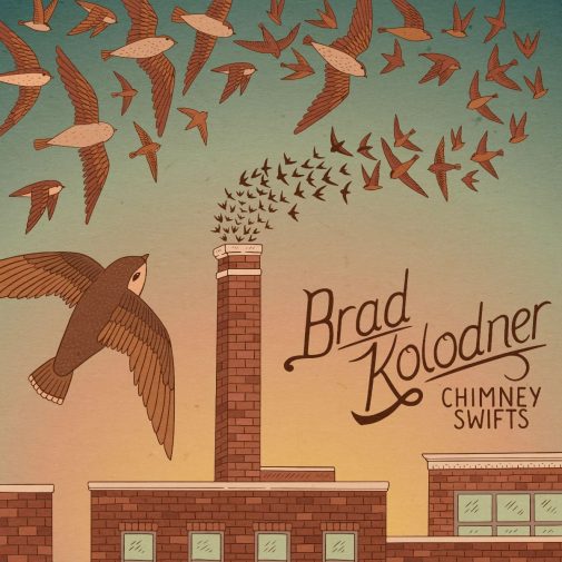 Brad Kolodner Chimney Swifts