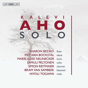 Aho Solos V1